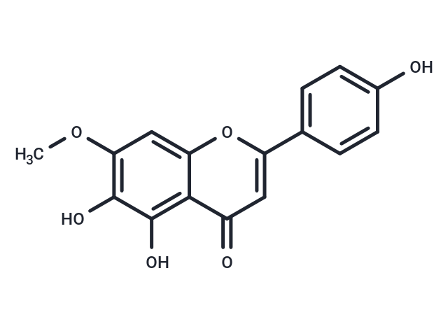 Sorbifolin