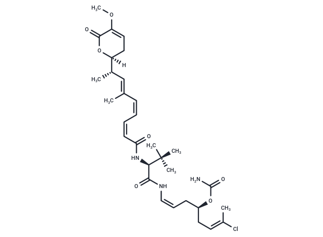 PM050489