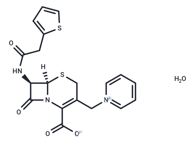 Cephaloridine hydrate