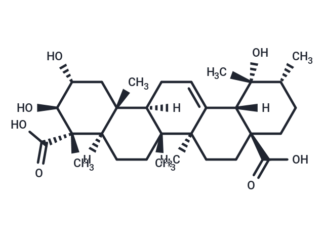 (2α,3β,4α)-2,3,19-Trihydroxyurs-12-ene-23,28-dioic acid