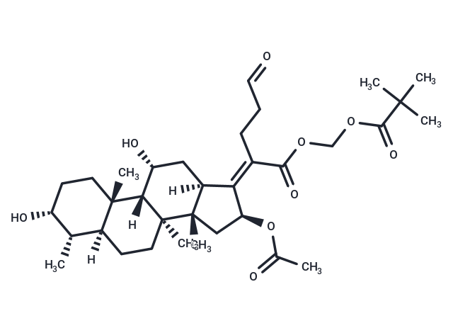 WU-FA-01