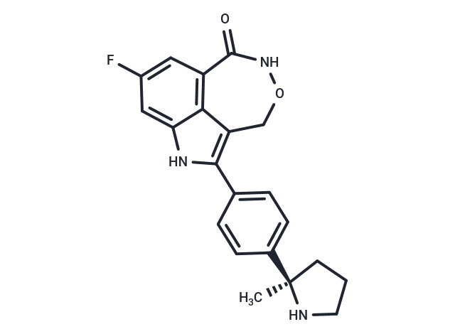 Lerzeparib