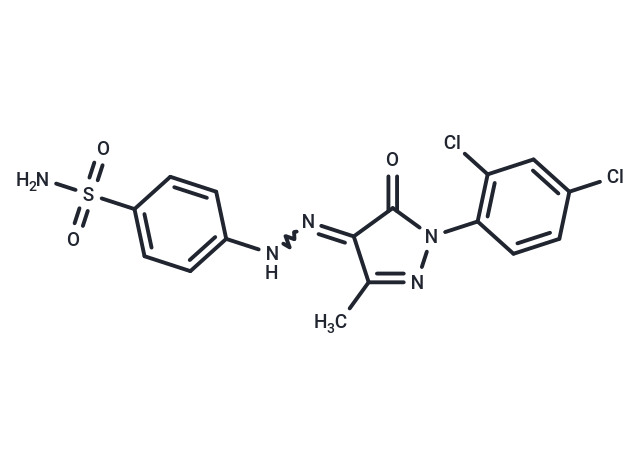 hCAIX/XII-IN-8