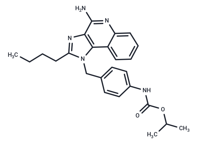 TLR7 agonist 16