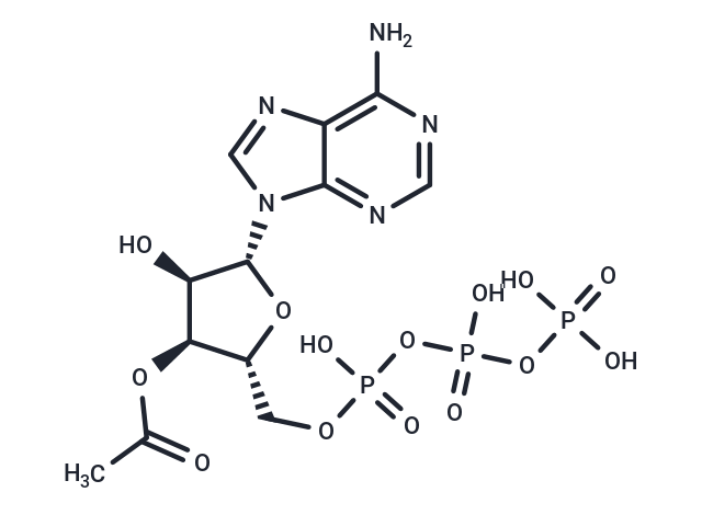 3′-Acetate-ATP