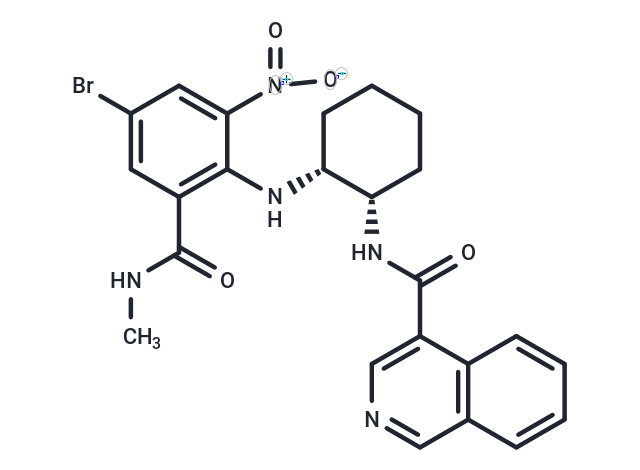 WU-04