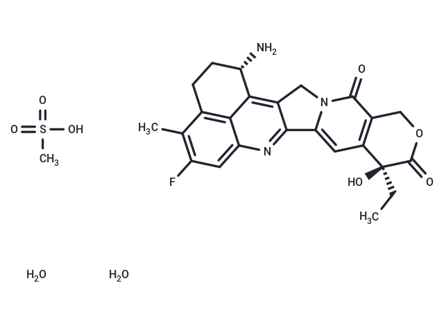 Exatecan mesylate dihydrate