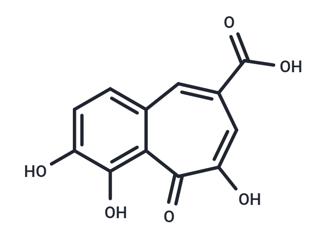 SHP2-IN-5