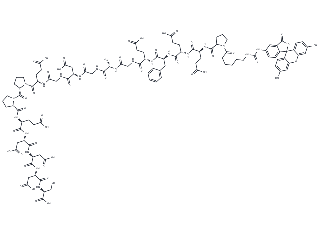 FITC-εAhx-HHV-2 Envelope Glycoprotein G (561-578)