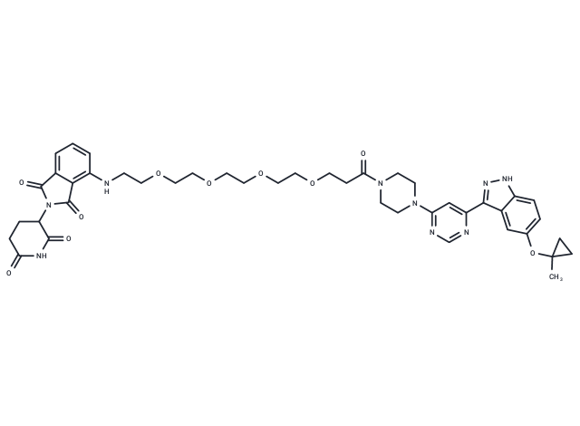 JH-XII-03-02