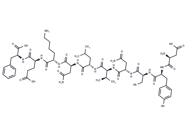 CEF14, EBV Rta Protein (28-37)