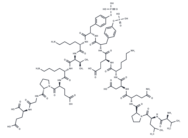 Tyrosine Protein Kinase JAK 2 (Phospho-Tyr8, 9)