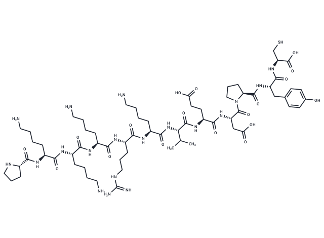 SV40 T-Ag-derived NLS peptide