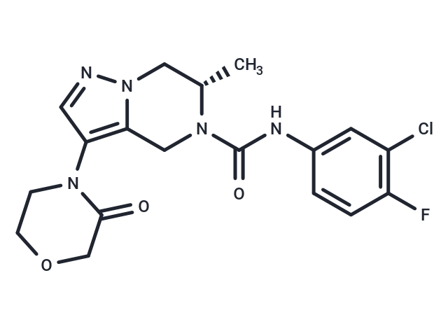 HBV-IN-41