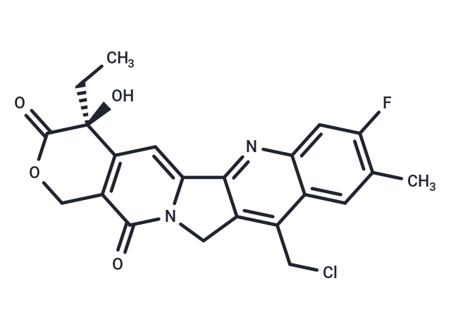 9-Chloromethyl-10-hydroxy-11-F-Camptothecin