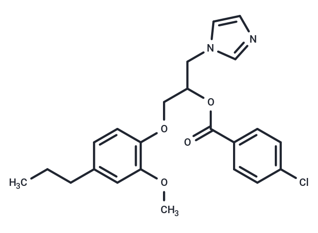 Antifungal agent 70