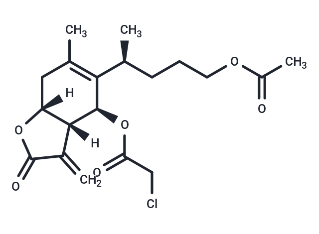 Antifungal agent 66