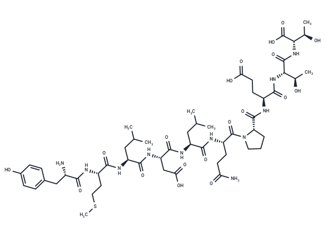 HPV16-E711-20 epitope