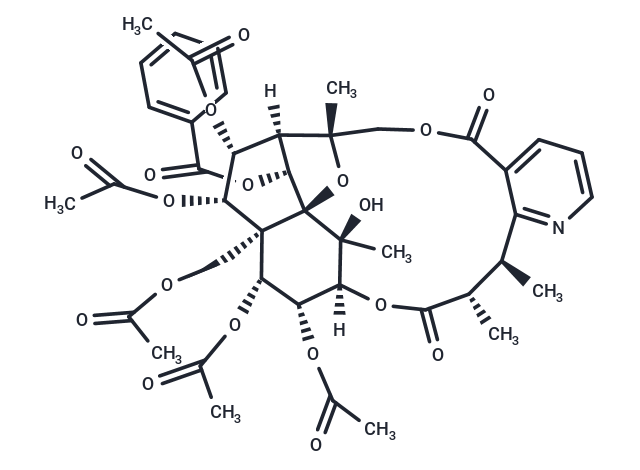 Cangorinine E-1