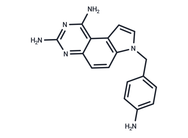 NSC309401