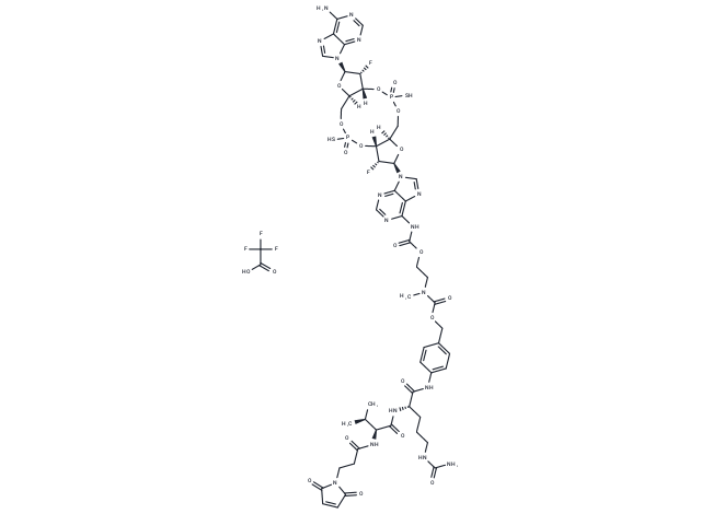 Antibody conjugate C1