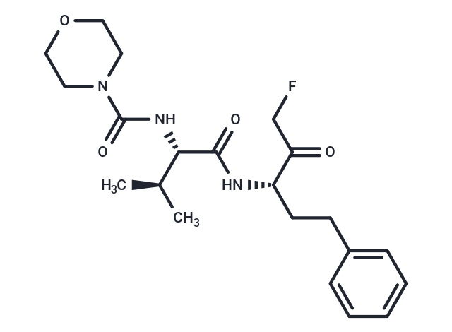 Calpain inhibitor V