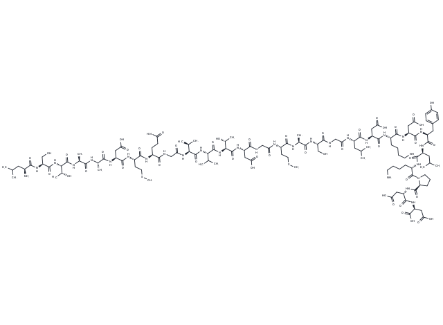 Azurin p28 peptide