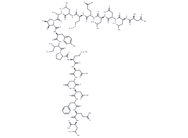 HIF-1 alpha (556-574)