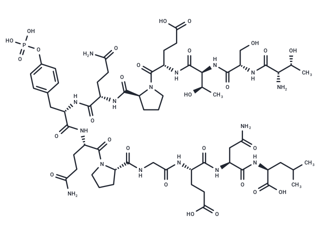 pp60 c-src (521-533) (phosphorylated)