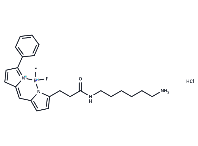 BDP R6G amine hydrochloride