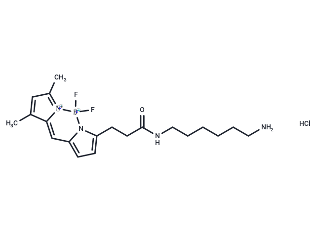 BDP FL amine hydrochloride