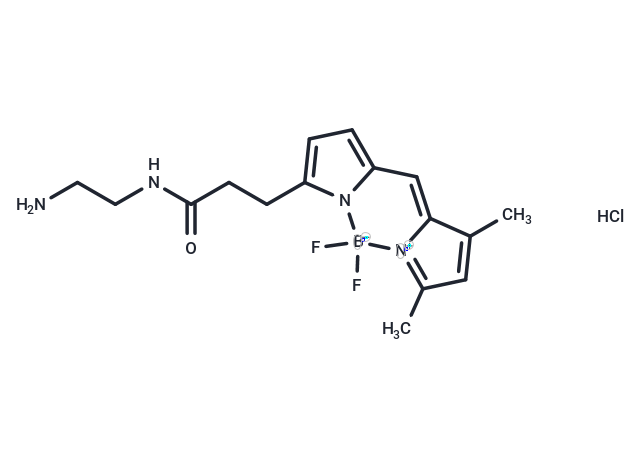 BODIPY FL-EDA