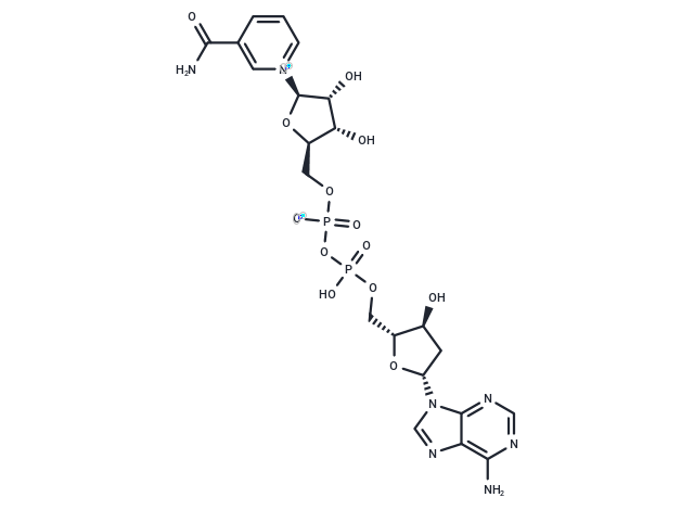 2'-Deoxy-NAD+