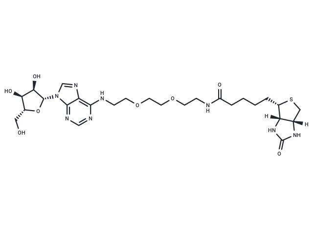 Adenosine 2'-PEG-Biotin