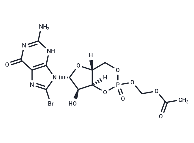 8-Br-cGMP-AM