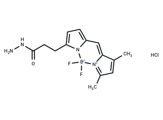 BODIPY FL hydrazide hydrochloride