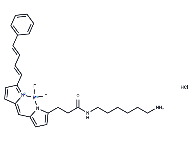 BDP 581/591 amine hydrochloride