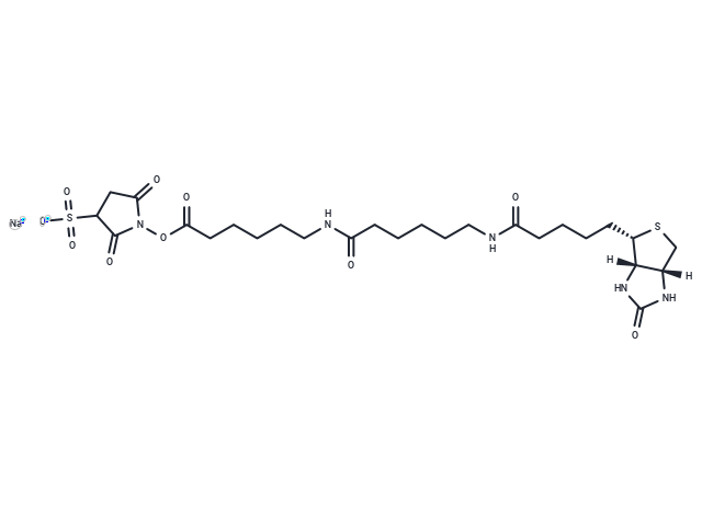 Sulfo-NHS-LC-LC-Biotin