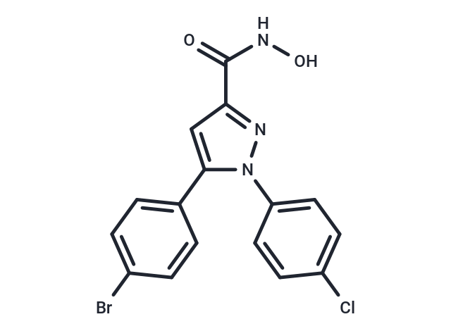 ASM-IN-2