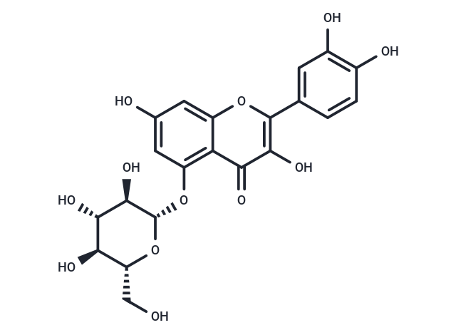 Quercetin 5-O-β-D-glucopyranoside