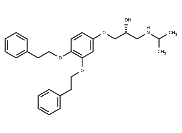 YOK-2204