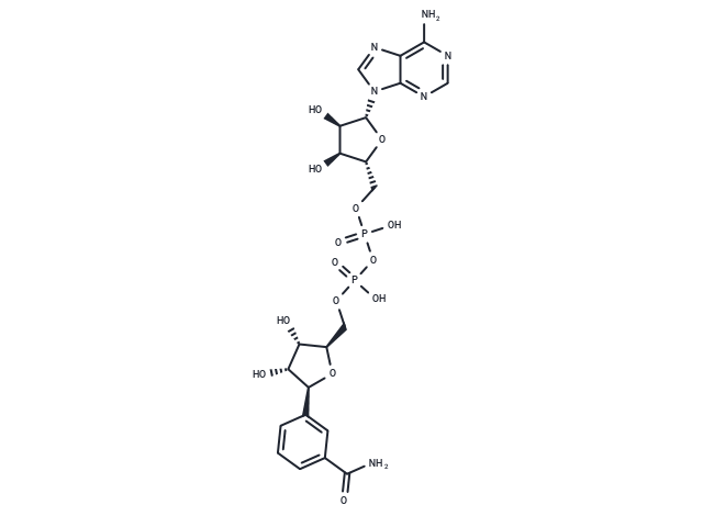 β-Benzamide adenine dinucleotide