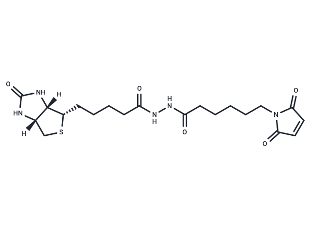 Biotin-maleimide