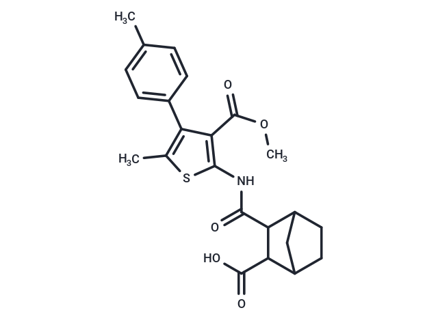 endo CNTinh-03