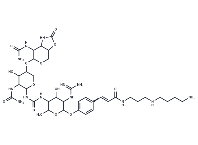 LL-BM123γ2