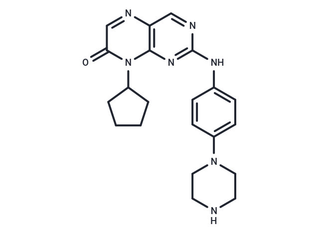 YY173