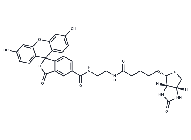 Biotin-4-Fluorescein