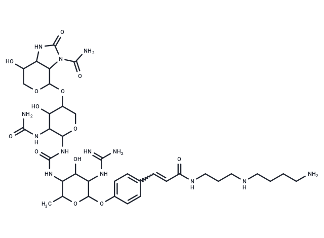 LL-BM123γ1