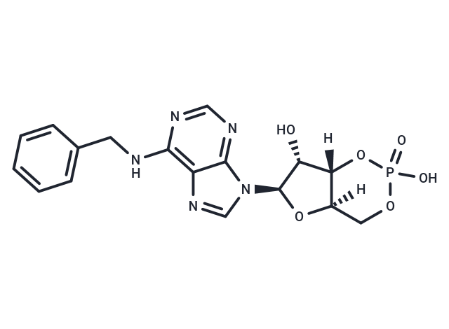 6-Bn-cAMP