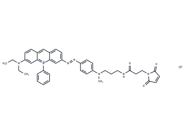 BHQ3 Maleimide